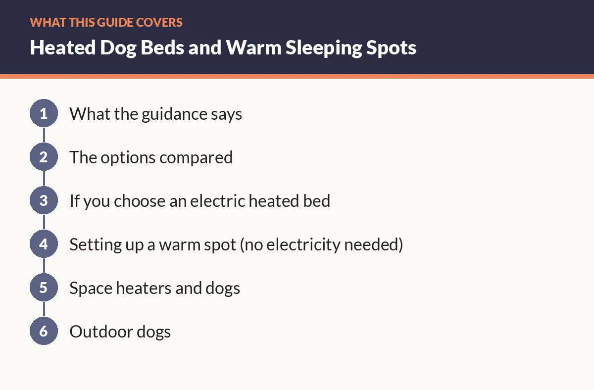 Diagram of the sections in this guide: What the guidance says; The options compared; If you choose an electric heated bed; Setting up a warm spot (no electricity needed); Space heaters and dogs; Outdoor dogs
