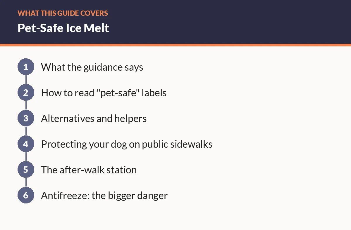 Diagram of the sections in this guide: What the guidance says; How to read "pet-safe" labels; Alternatives and helpers; Protecting your dog on public sidewalks; The after-walk station; Antifreeze: the bigger danger